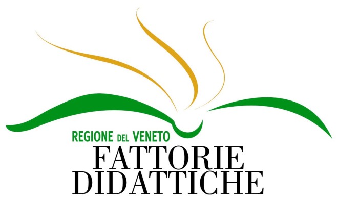 logo Fattori didattiche